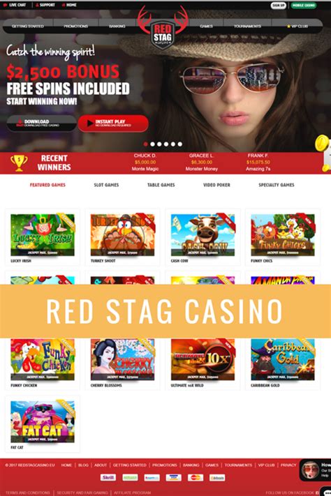 red stag casino review|red stag online casino.